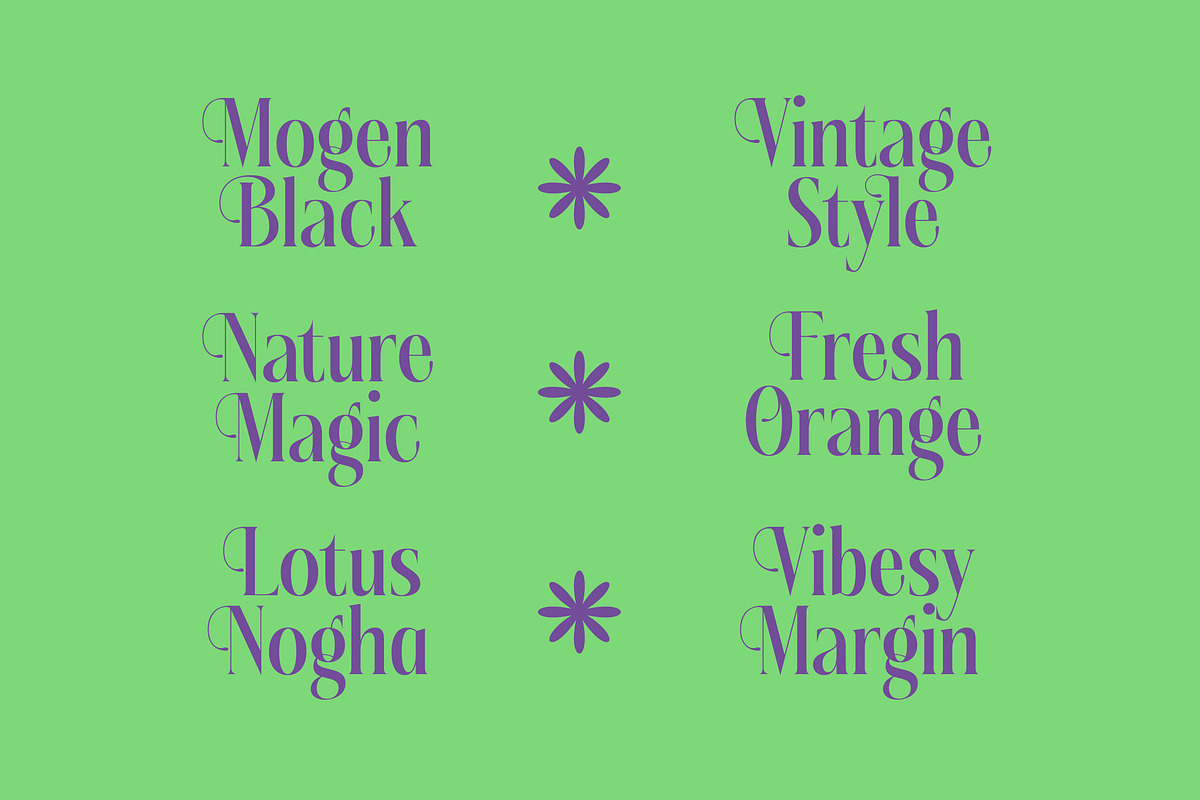 Kushers Modern Serif Display Font, a Serif Font by timelesstype.co (Photo 6 of 20)
