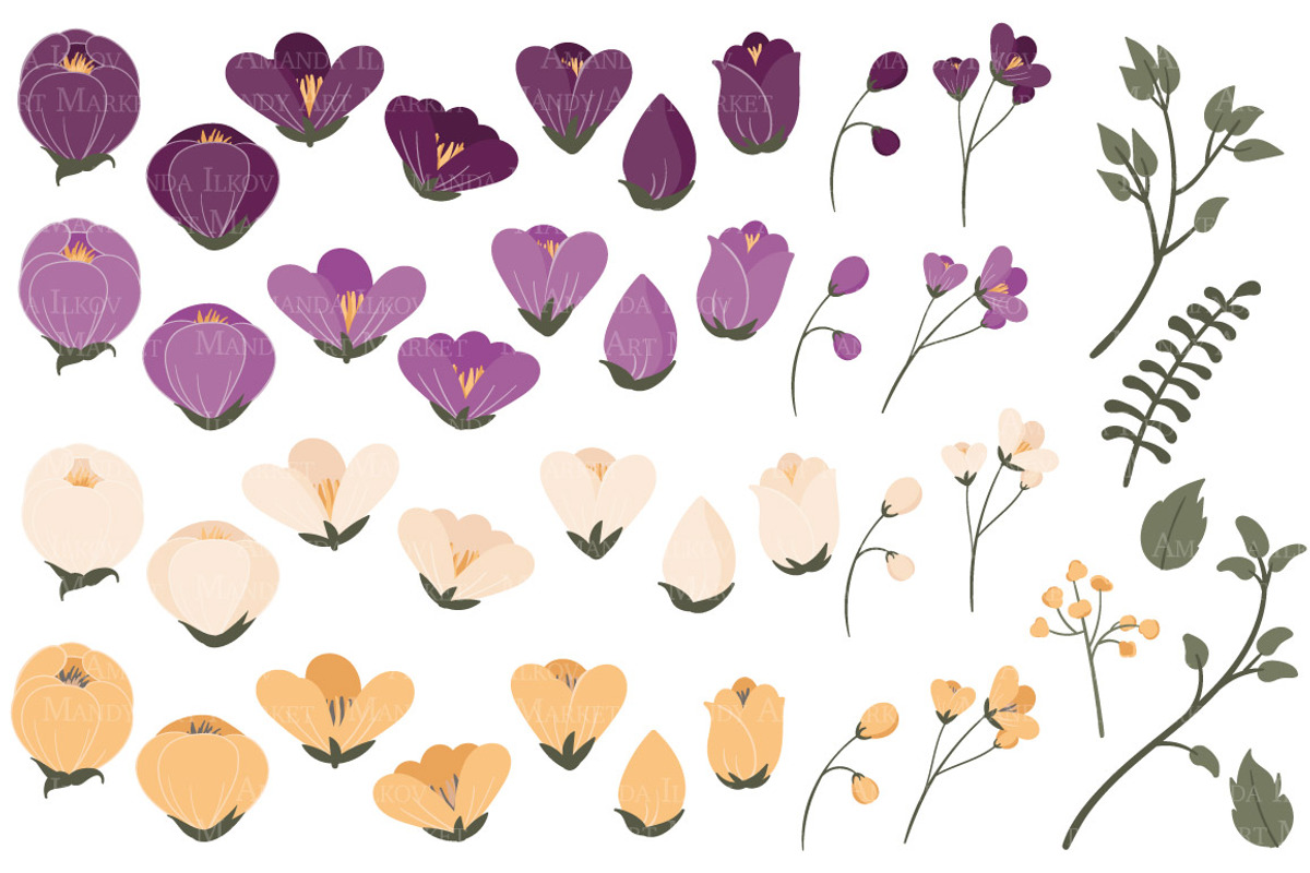 Plum Floral Clipart & Vectors, an Illustration by Amanda Ilkov (Photo 3 of 3)