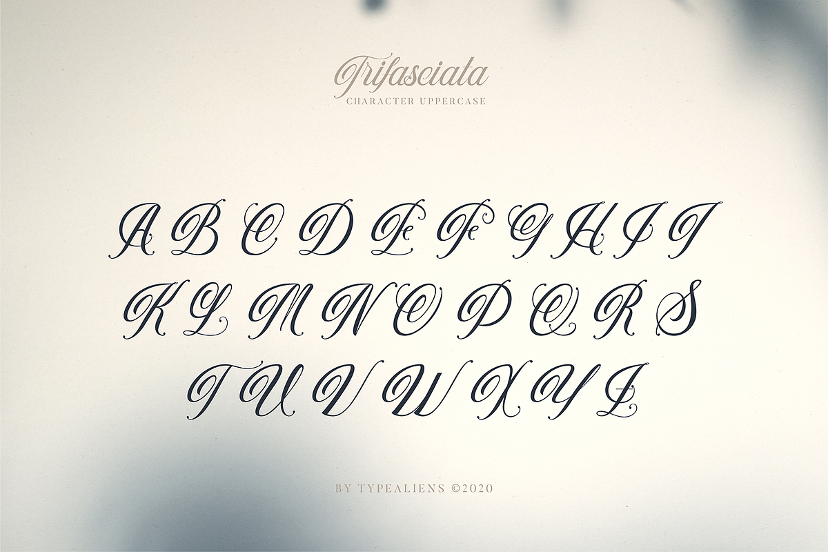 Trifasciata, a Script Font by ilhamtaro (Photo 7 of 11)