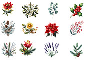 Christmas Wildflowers Clipart, an Illustration by Designworld (Thumbnail 4 of 6)