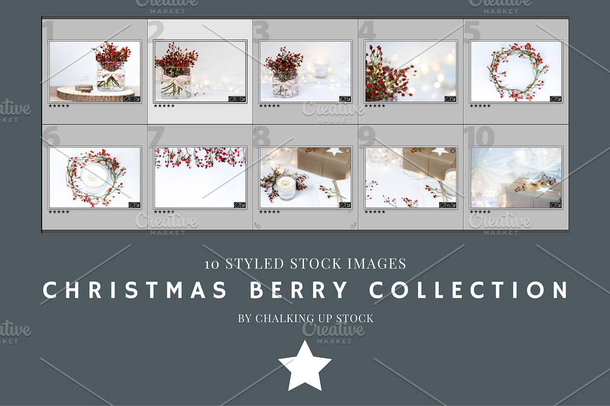 Christmas Berry styled stock images, a Holiday Photo by Chalking Up Stock (Photo 13 of 13)