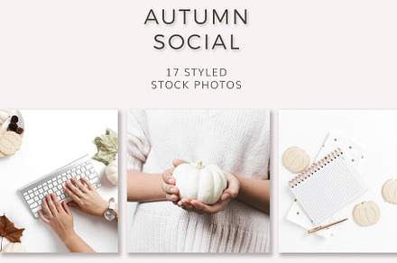 Autumn Social (17 Images), a Holiday Photo by Ivory Mix