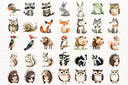 Watercolor Woodland Animals Clipart, an Animal Illustration by SugarCloudStudioArt (Thumbnail 9 of 9)