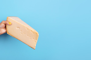 Female hand with yellow nail polish holding a large wedge of ch, a Food & Drink Photo by Ales Munt