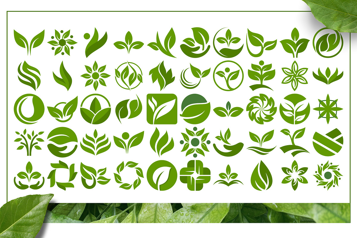 Leaf Logo Template Bundle, an Illustration by Tekuni (Photo 3 of 10)