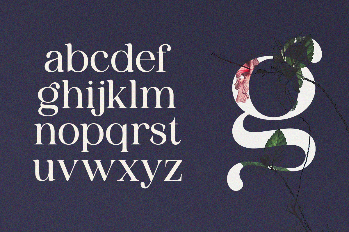 Sangect Display, a Serif Font by Pista Mova (Photo 11 of 12)