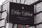 Delirian Script & Ornaments, a Script Font by Andrey Sharonov (Thumbnail 12 of 16)