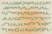 Stella Aesta - 10 Butterfly Font, a Serif Font by Dharmas Foundry (Thumbnail 16 of 17)