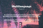 Belgard Font Family, a Serif Font by Bart Wesolek (Thumbnail 4 of 9)