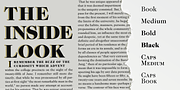 Caslon FS, a Serif Font by FontSite Inc. (Thumbnail 4 of 4)