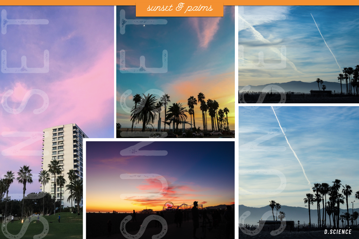 Sunset & Palm Trees Photo Bundle, a Nature Photo by Template Monkey @dscience (Photo 9 of 12)
