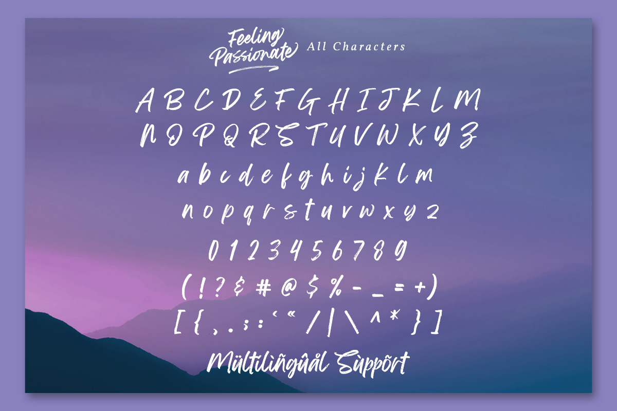 Feeling Passionate - Brush Font, a Script Font by din-studio.com (Photo 9 of 11)