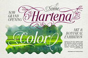 Meillona Typeface, a Serif Font by alit design (Thumbnail 8 of 17)