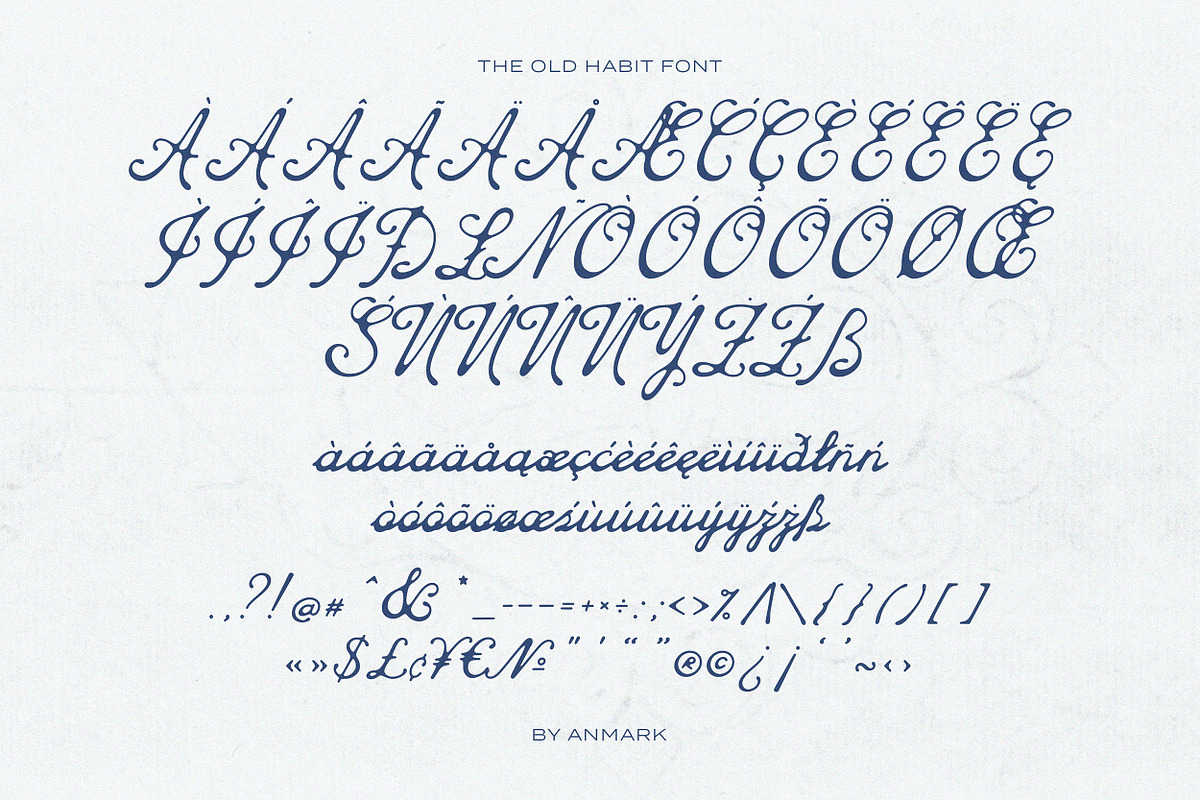 The Old Habit Vintage Script Font, a Script Font by AnMark (Photo 7 of 13)