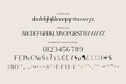 Zelvian - Modern Serif Font, a Serif Font by Rishsketch (Thumbnail 13 of 15)
