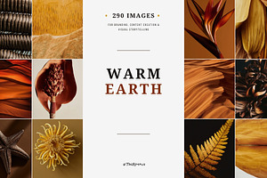 Warm Earth | 290 Earth Tone Photos, a Nature Photo by Tale.Haus