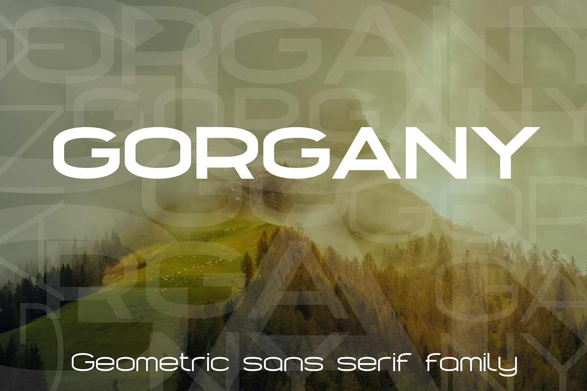 Gorgany font family, a Sans Serif Font by vlad.berla (Photo 2 of 8)