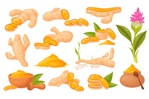 Curcuma. Turmeric root plant with, a Graphic by Stock-Smart-Start