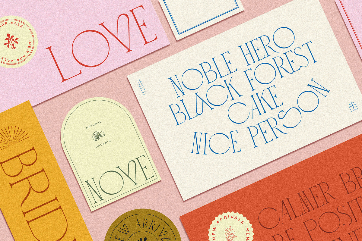 Loviena Rose - Stylish Serif, a Serif Font by CCS Type (Photo 11 of 25)