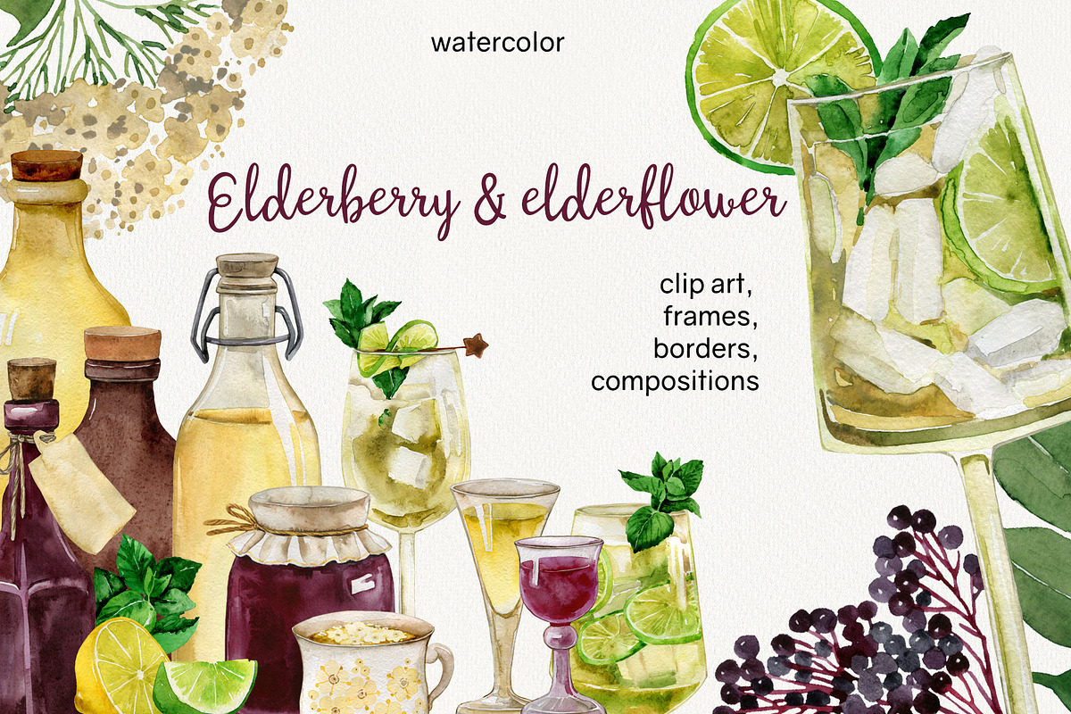 Elderberries&Elderflowers Collection, a Food Illustration by TanyaOak (Photo 1 of 9)
