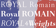 Royal Romain, a Serif Font by Wiescher-Design (Thumbnail 4 of 4)