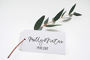 Wisteria Script, a Script Font by Calamar Studio (Thumbnail 5 of 13)