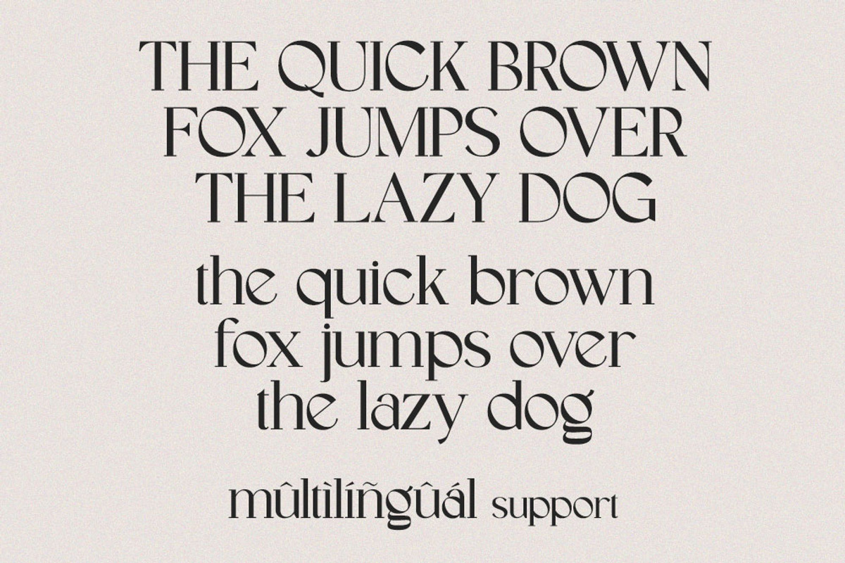 Greyson Modern Serif, a Serif Font by Moodtype (Photo 9 of 9)