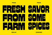 GW Primos, a Sans Serif Font by Goodwheel Studio (Thumbnail 12 of 14)