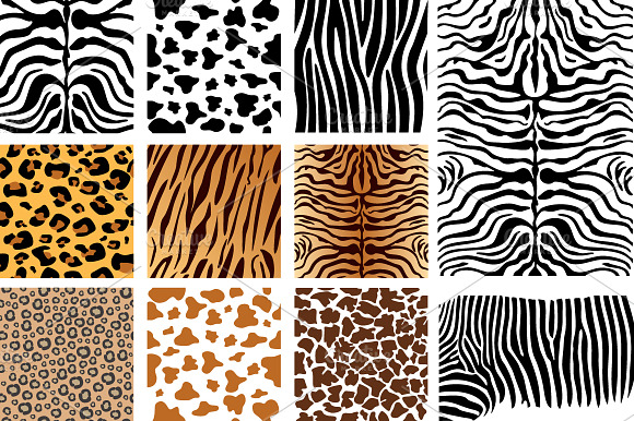 Vector Animal Skins preview 2