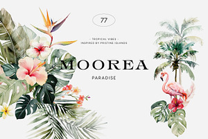 Moorea - Tropical Summer Set