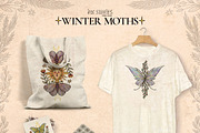 Winter Moths & Evergreen Botanicals, a Seasonal Illustration by Ink Stories (Thumbnail 15 of 15)