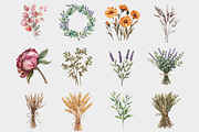 Watercolor Dry Herbs Clipart, a Seasonal Illustration by Design Market (Thumbnail 2 of 4)