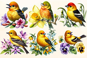 Spring American Goldfinch Clipart, a Work Illustration by OK Design (Thumbnail 3 of 4)