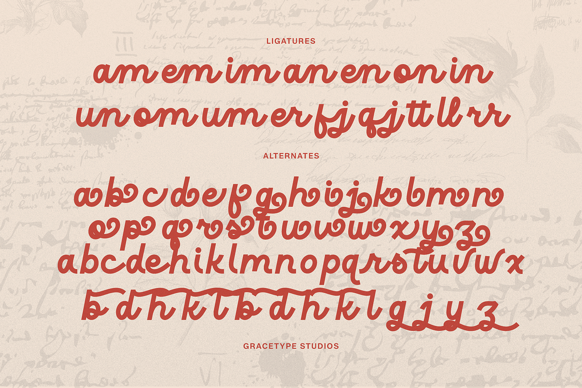 Harfiola | Monoline Script Font, a Script Font by gracetype_studio (Photo 12 of 12)