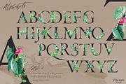 Modern Plants Design Kit, an Object Graphic by JSquarePresents (Thumbnail 3 of 18)
