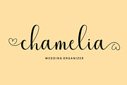 The Lovely, a Script Font by Cut Story (Thumbnail 6 of 12)