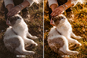 10 CAT Lightroom Presets, a Preset Add-On by MaPresets (Thumbnail 14 of 15)