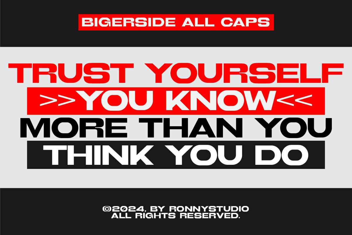 Bigerside Modern Expanded Sans Serif, a Sans Serif Font by Ronny Studio (Photo 6 of 9)