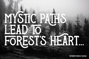 Nothern Woods Vintage Label Font, a Serif Font by JumboDesign (Thumbnail 4 of 6)