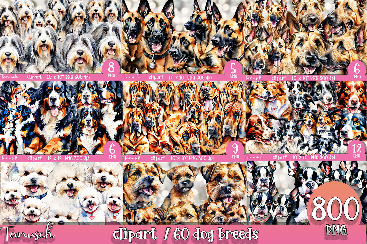 watercolor dog breeds bundle, an Animal Illustration by TanuschArts (Photo 4 of 7)