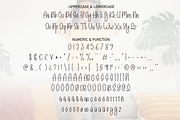 Little Funny | Script Font, a Handwritten Font by Scratchones (Thumbnail 6 of 7)