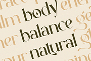 Elegant Serif - Rastica, a Serif Font by Font Liner (Thumbnail 6 of 12)