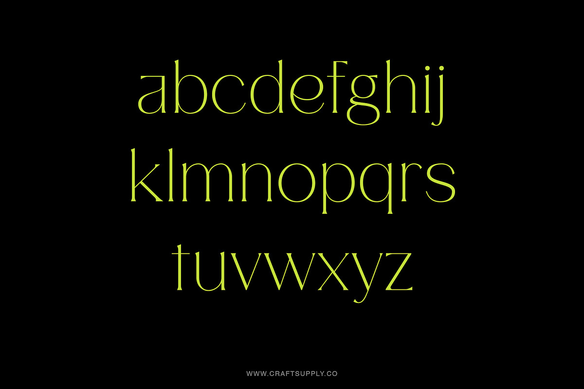 Pilated - Serif Typeface, a Serif Font by Craft Supply Co. (Photo 5 of 8)