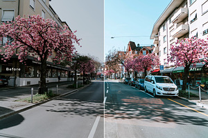 Zurich Pro Lightroom Presets