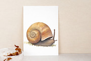 Watercolor snail clip art, an Illustration by Libby Wishes (Thumbnail 4 of 7)