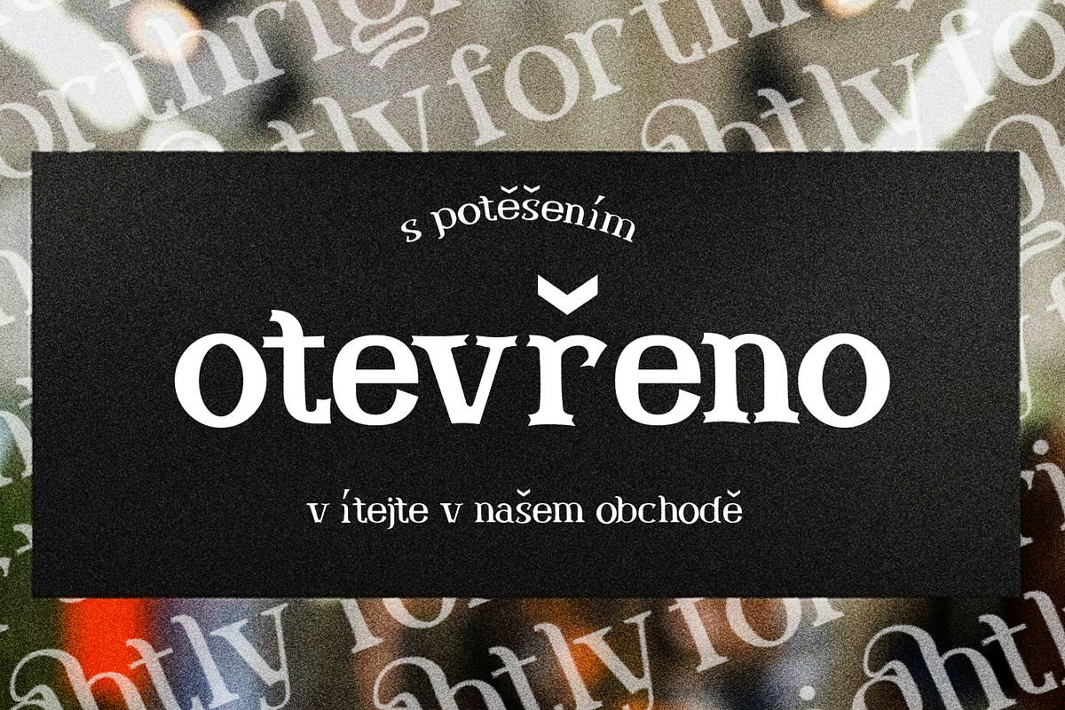 Western Roodle-Vintage Modern Serif, a Serif Font by Mofr 24 (Photo 4 of 8)