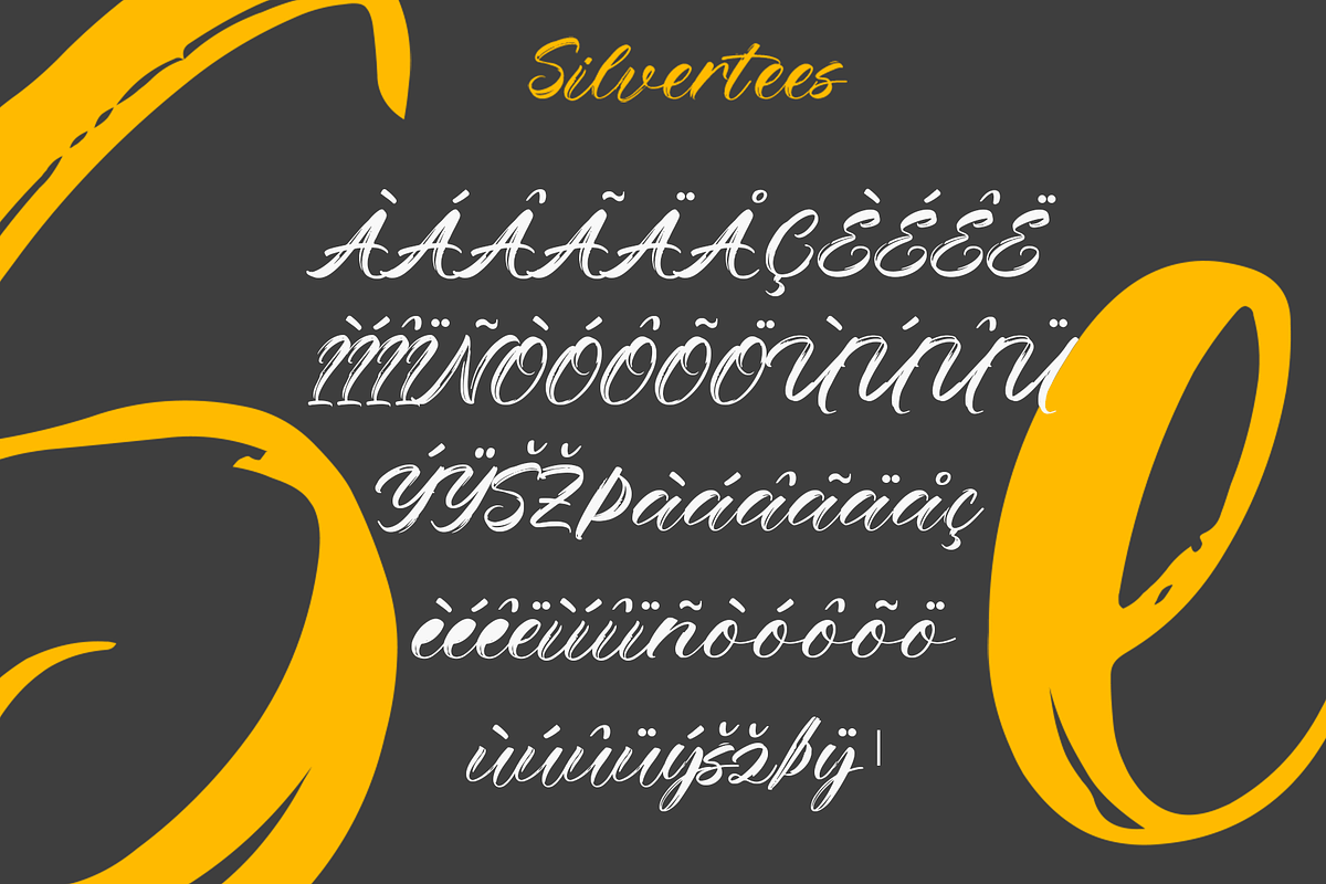 Silvertees – Handwritten Script Font, a Script Font by overlaytemplates (Photo 5 of 5)