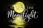 Synthesia, a Script Font by Byuly Ayika (Thumbnail 6 of 9)