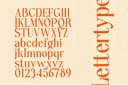 Lettertype a Stunning Display Serif, a Serif Font by Lettertype Studio (Thumbnail 6 of 20)