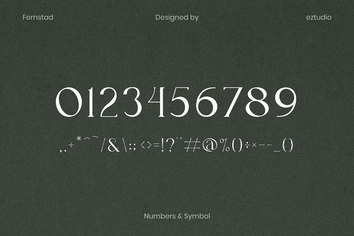 Fernstad - Elegant Serif Font, a Serif Font by Eztudio (Photo 14 of 16)